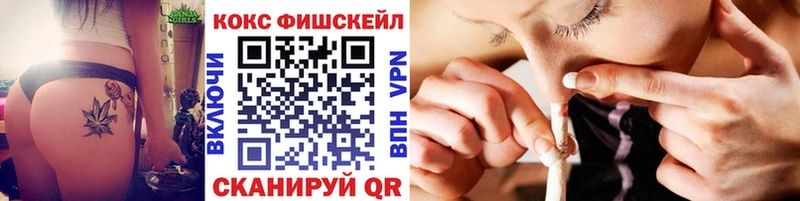 дарк нет официальный сайт Курильск Кокаин Эквадор