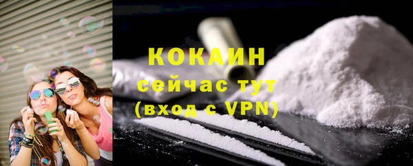 COCAINE Богородицк