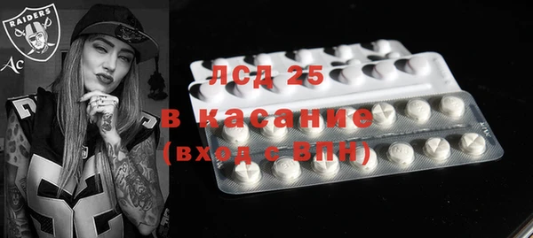 ПСИЛОЦИБИНОВЫЕ ГРИБЫ Белокуриха
