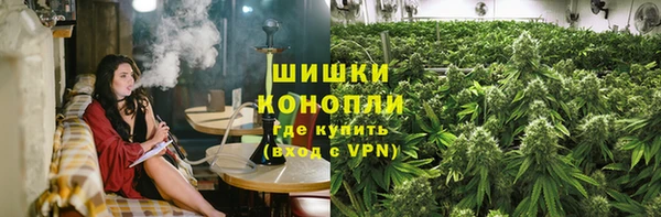 гидра Белоозёрский