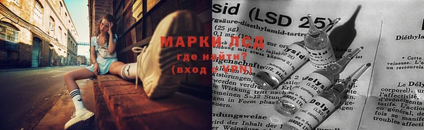 гидра Белоозёрский