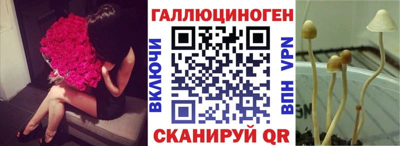 сколько стоит Курильск Псилоцибиновые грибы ЛСД