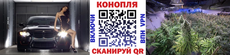 Бошки марихуана планчик что такое kraken как войти Курильск